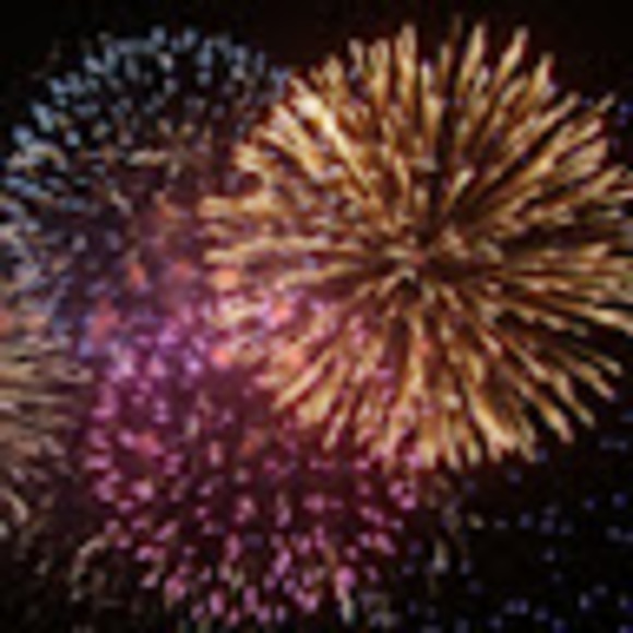 Meet your Posher, Annabelle - Picture 1 of 1